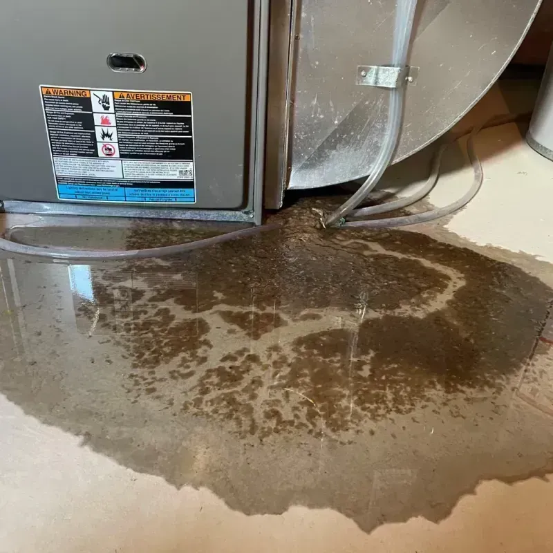 Appliance Leak Cleanup in Rogers City, MI